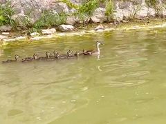 -云龙湖旅游景区