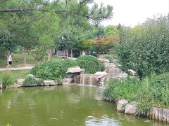 -西海子公园