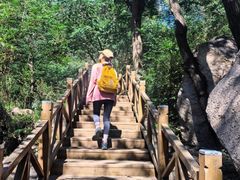 -大岭沟猕猴桃谷风景区
