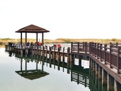 -苏州太湖湖滨国家湿地公园