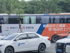 -中国科学院西双版纳热带植物园