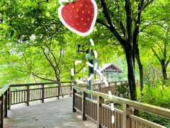 -广东花都湖国家湿地公园