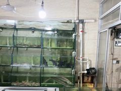 -鸿旺海鲜楼(平潭流水店)