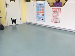 -瑞鹏宠物医院·爱宠堂·骨外专科(西荷分院)