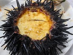 -众味海鲜大排档·活海鲜·潮汕味(南澳店)
