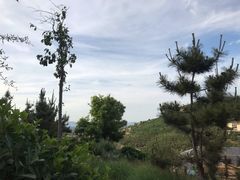 -徂徕山森林康养度假谷温泉