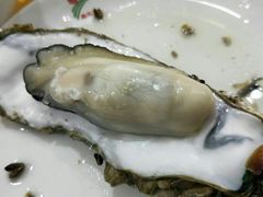 -蚝专家(北滘店)