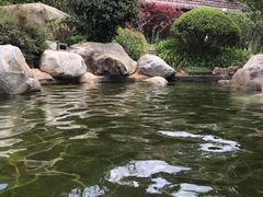 -七彩云南古滇温泉山庄