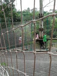 -成都飞越丛林探险乐园(锦绣城园区)