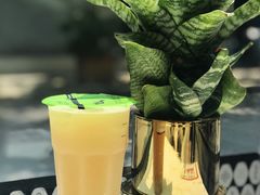 -OT另茶(上海幸福里店)