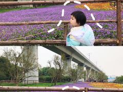 -秀丽东方