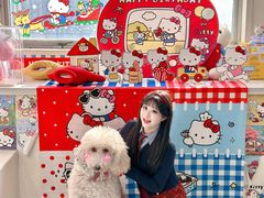 -汪说·狗咖·拼豆·宠物周边DIY(旺城大厦店)