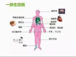 点击看大图 -Lily纤美·科技减脂中心