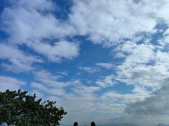 -深圳湾公园(南山区)