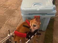 -CAMP.33露营烤肉·团建聚餐(创智天地店)