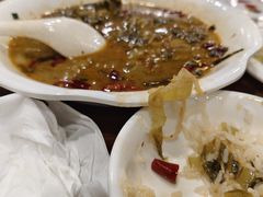 -正德顺順德雙皮奶(中信店)