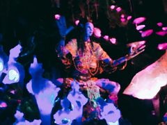 -奥兰多迪士尼动物王国乐园