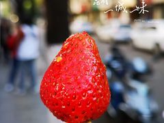 -雪儿钱局泡菜