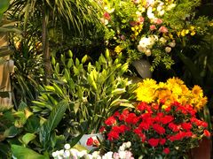 -春暖花开(西溪店)