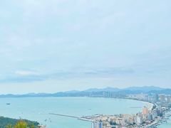 -广东惠东海龟国家级自然保护区