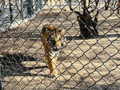 -北京野生动物园