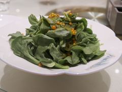 沙棘冰菜-凯鸽酒楼(大同振兴街店)