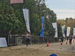 -上海海湾国家森林公园