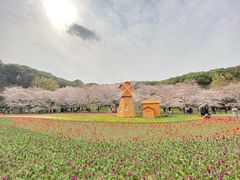 -苏州上方山国家森林公园