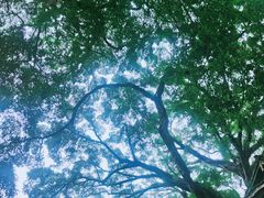 -云水谣景区