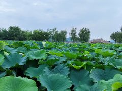 -云龙湖旅游景区