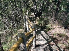 -少华山国家森林公园