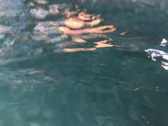 -波塞冬旅游度假区