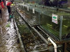 -钱大妈海鲜饭店(保利林语店)