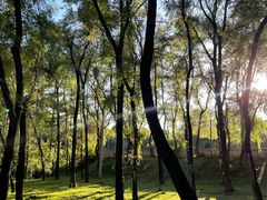 -长春市南湖公园