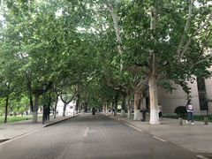 -曲阜师范大学(曲阜校区)