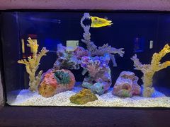 -上海海洋水族馆