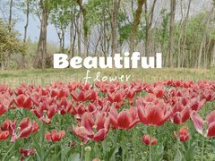 -郑州中国绿化博览园