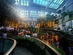 -正佳雨林生态植物园