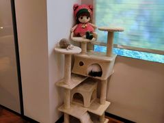 -住范儿家装·整体家装·装修设计