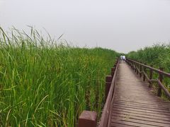 -西青郊野公园