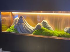 -华夏良子·足道·SPA·艾灸(苏州桥店)