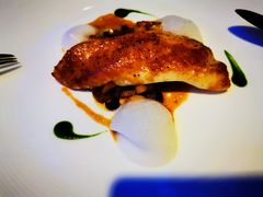 -迪拜帆船酒店海底餐厅