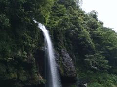 -龙苍沟森林公园