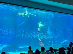 -海合安成都极地海洋公园