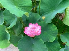 -南戴河国际娱乐中心