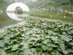 -白鹿原影视城