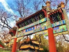 -北京国子监胡同