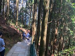 -井冈山风景名胜区-黄洋界