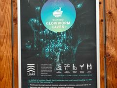 -怀托摩萤火虫洞