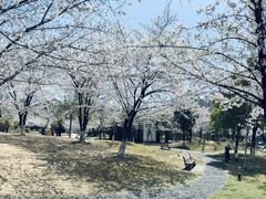 -堤角公园